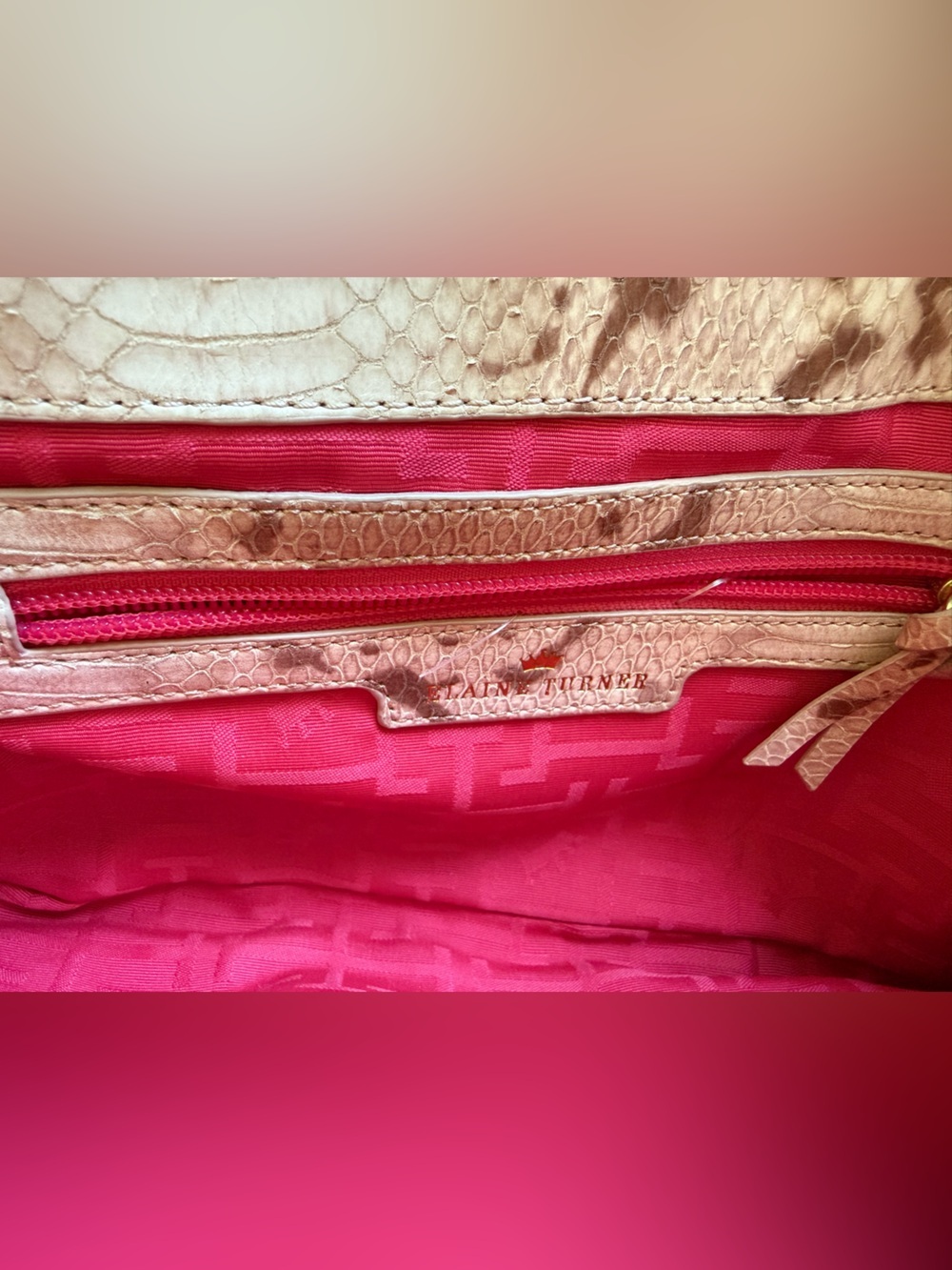 Elaine Turner Python Embossed Clutch w/ Bamboo Clasp & Chain Strap - Picture 7 of 12
